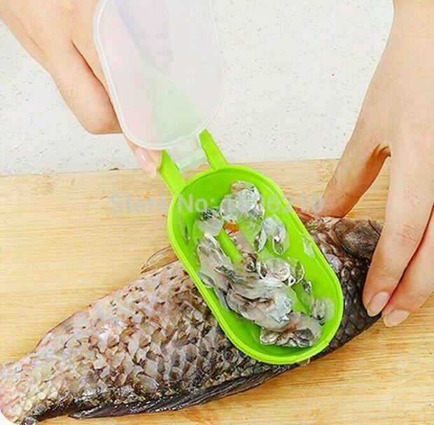 Alat Pembersih Ikan Yang Praktis Alat Dapur